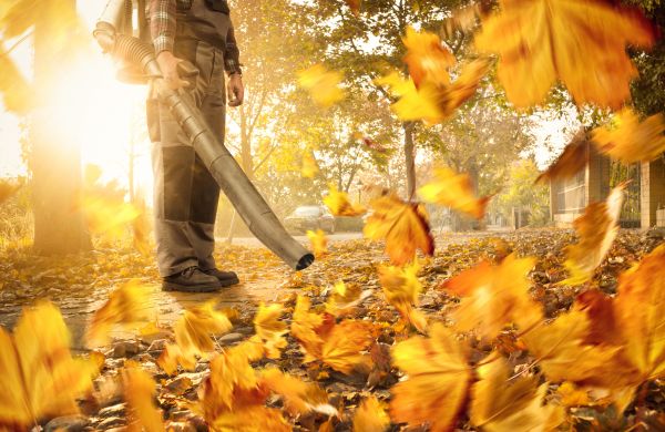 Leaf Blowing Service in Little Rock