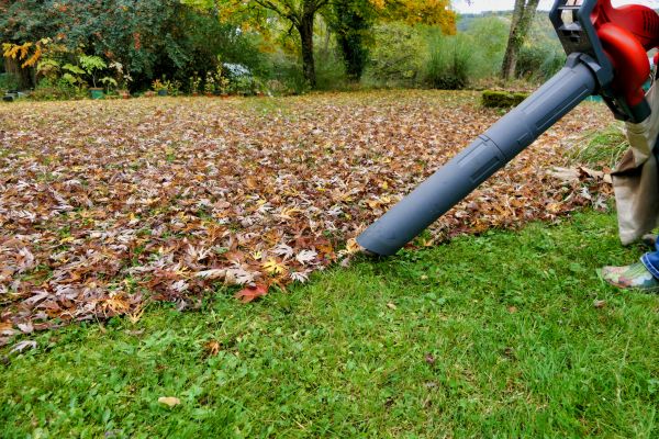 Leaf Vacuuming Service in Little Rock