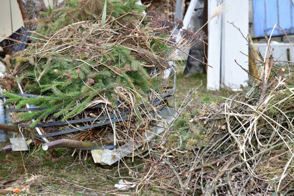 Yard Debris Removal in Little Rock