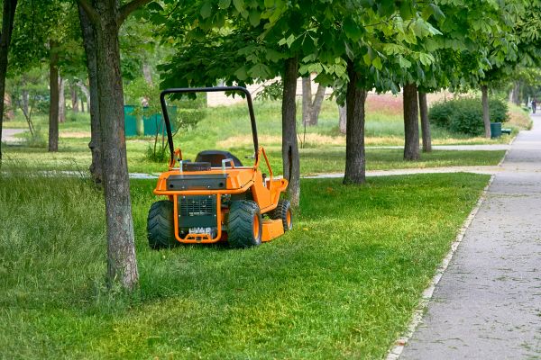 Landscaping Cleanup Service in Little Rock