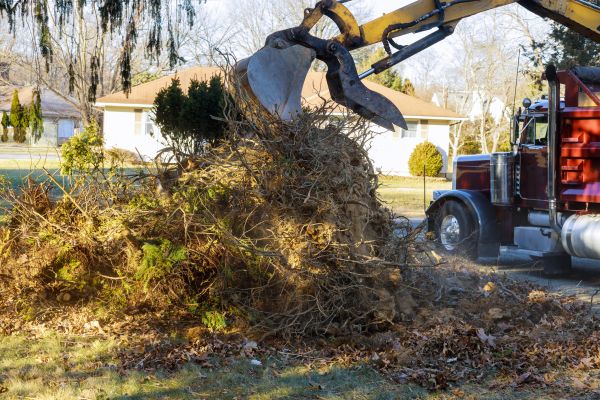 Storm Debris Removal in Little Rock