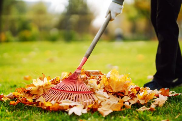 Ditch Leaf Removal in Little Rock