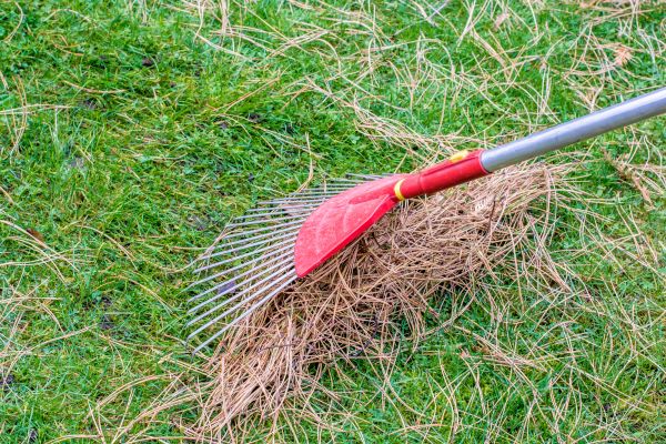 Yard Raking in Little Rock