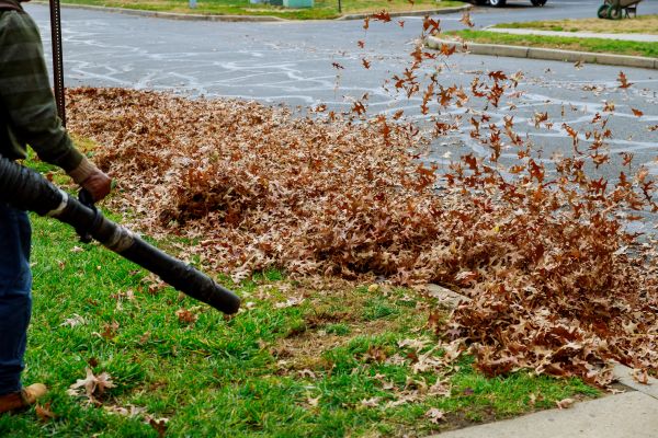 Garden Leaf Removal in Little Rock