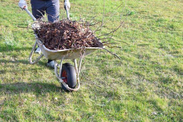 Yard Brush Removal in Little Rock