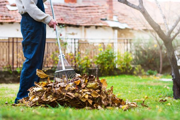 Spring Lawn Cleanup in Little Rock