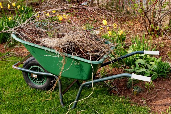 Lawn Waste Removal in Little Rock
