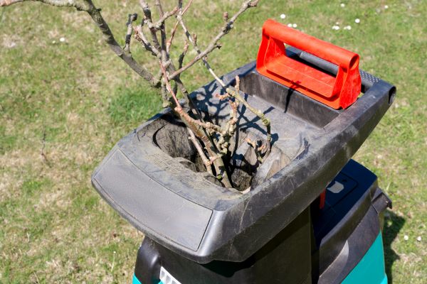 Cost of Brush Cleanup Service in Little Rock