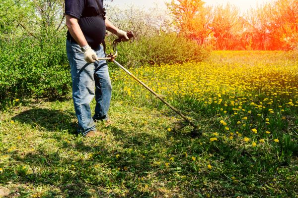 Yard Clearing Service in Little Rock