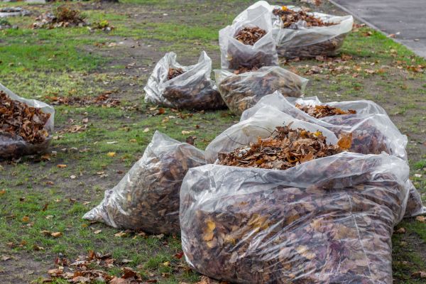 Leaf Pile Disposal in Little Rock