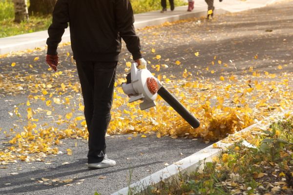 Commercial Leaf Removal in Little Rock